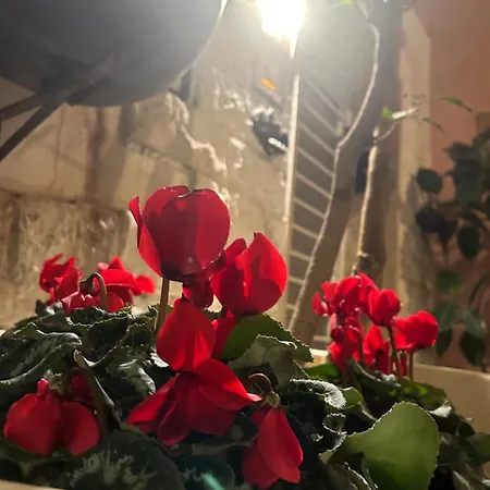 Vecchia R Guest house