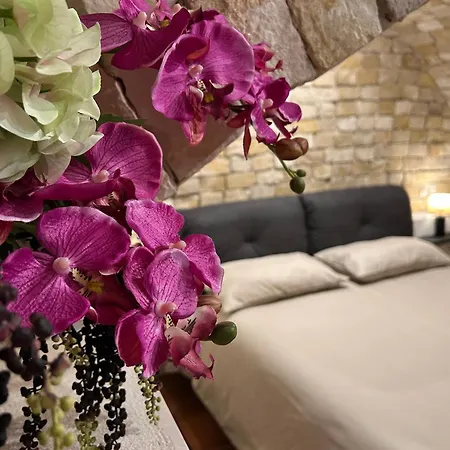 Vendégház Vecchia R 4*