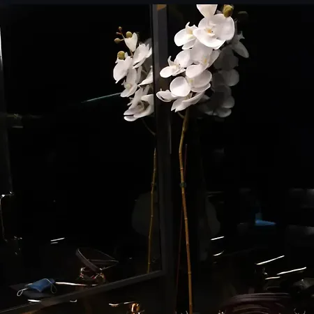 Vendégház Vecchia R 4*