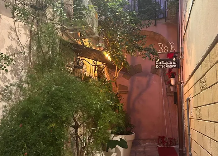 Vecchia R 4* בארי